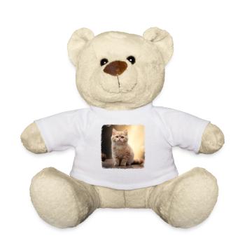 Chaton Munchkin Chat Munchkin - Nounours - blanc - Devant