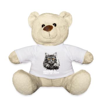 Chat des forêts norvégiennes Norwegische Waldkatze - Nounours - blanc - Devant