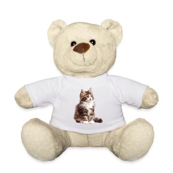 Chat des forêts norvégiennes Norwegische Waldkatze - Nounours - blanc - Devant
