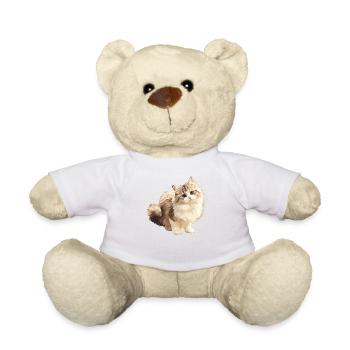 Ragamuffin Chaton Ragamuffin Chat - Nounours - blanc - Devant
