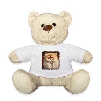 Persian Cat Perserkatze - Teddy - Weiß - Vorne