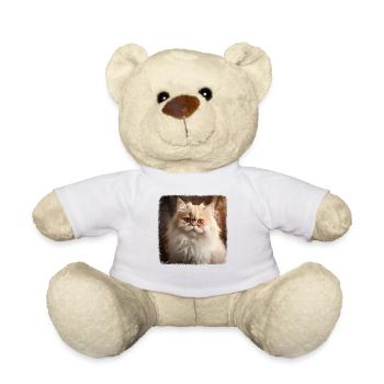 Persian Cat Perserkatze - Teddy - Weiß - Vorne