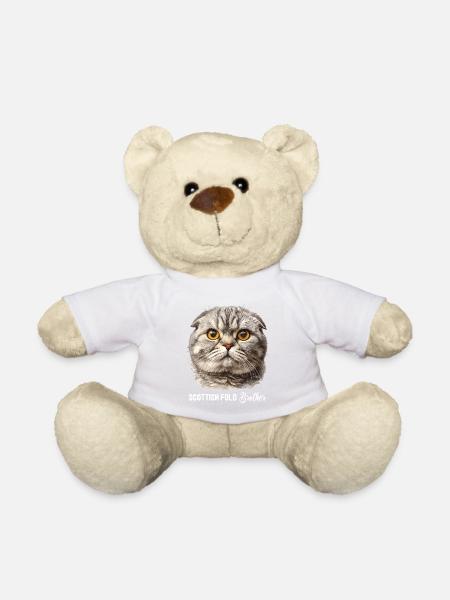Scottish Fold Kätzchen Scottish Fold Katze - Teddy - Weiß