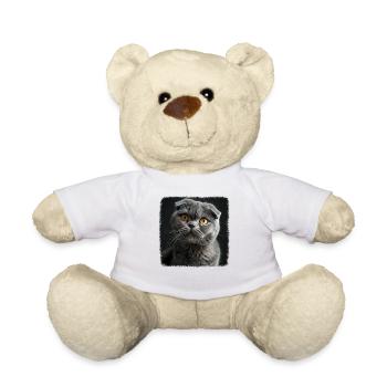 Scottish Fold Kitten Scottish Fold chat - Nounours - blanc - Devant