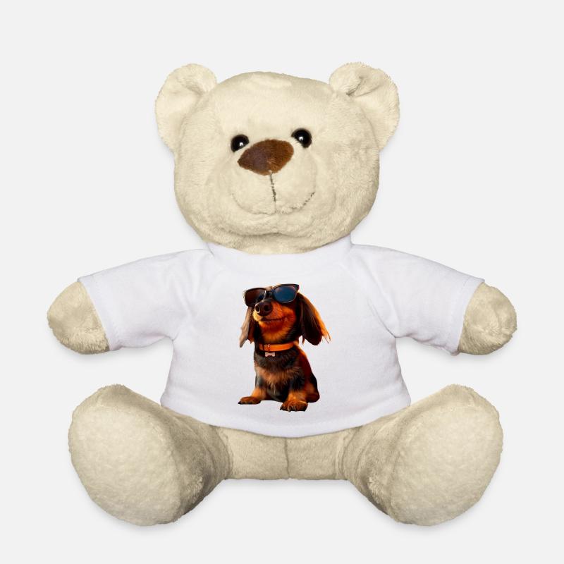 Teckel, Teckel, Teckel miniature, Dachshund Club, Teckel - Nounours - blanc