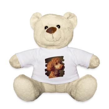 Caniche - Nounours - blanc - Devant