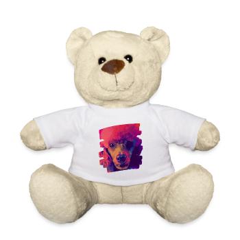 Caniche - Nounours - blanc - Devant