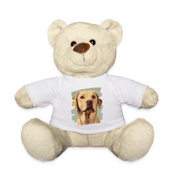 Labrador - Teddy - Weiß - Vorne