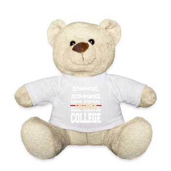 Funny High School Freshman Milestone Vibe - Teddy Bear - white - Front