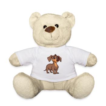 Niedlicher Welpe Dackel mit Freundlichem Blick - Teddy - Weiß - Vorne