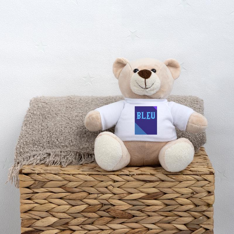 BLUE Rectangle Triangle Chalkboard Teddy Bear