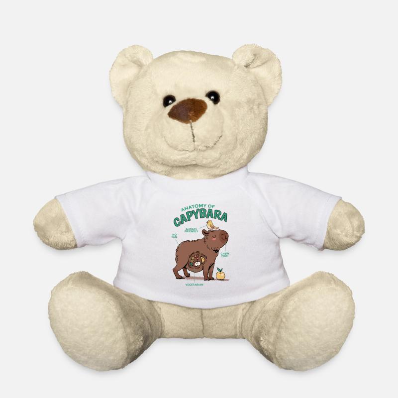 Anatomy of Capybara Fun Illustration - Teddy Bear - white