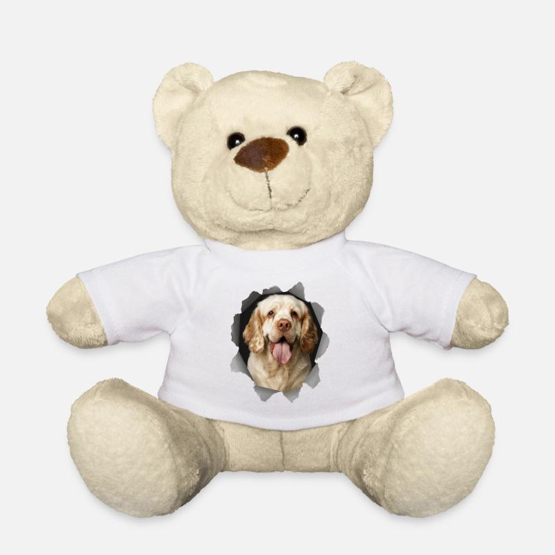 Clumber Spaniel - Teddy - Weiß