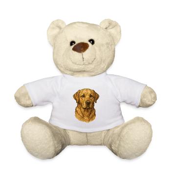 Portrait Labrador Retriever - Teddy Bear - white - Front