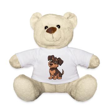 Dackel  - Teddy - Weiß - Vorne