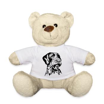 Korthals griffon Chiens portrait Chiens Chiens de chasse Wilsigns - Nounours - blanc - Devant