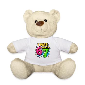 7. Geburtstag Kinder 67 Meme Humor Geschenkidee - Teddy - Weiß - Vorne