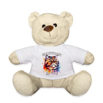 Exotische Kurzhaarkatze Papa - Teddy - Weiß - Vorne