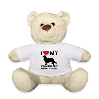 Cavalier King Charles Spaniel - Nounours - blanc - Devant