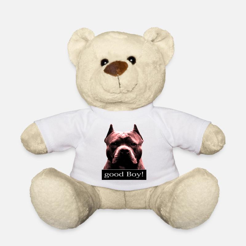 Pitbull DOG- good boy - - Teddy Bear - white