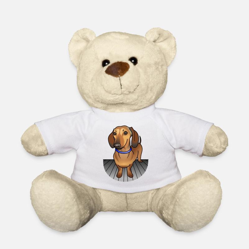 Dachshund - Leo 2 - Teddy Bear - white