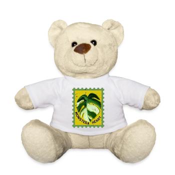 Monstera panaché - Nounours - blanc - Devant