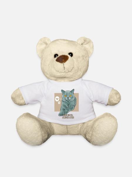 Gato británico de pelo corto - Teddybjørn - hvid