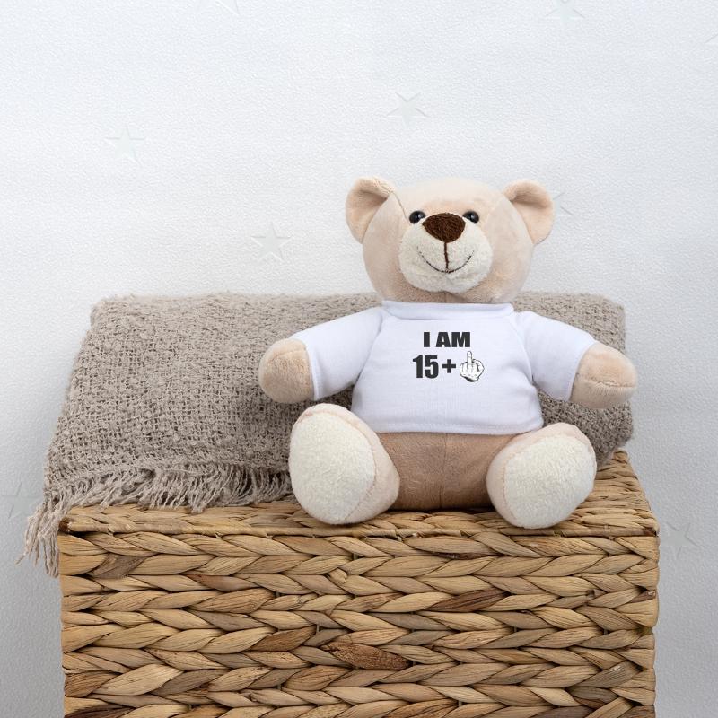 16e anniversaire Nounours