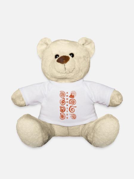 AMMONITES - Fossile - Paléontologie - Etudiant - Nounours - blanc