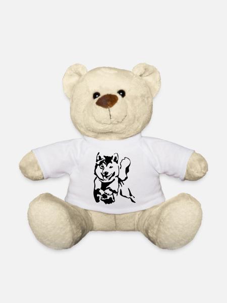 Shiba Inu - Nounours - blanc