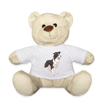 Chien de race border collie - Nounours - blanc - Devant