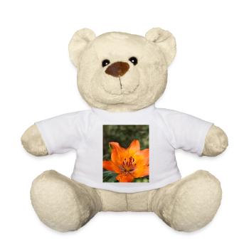 Orangefarbene Tigerlilie - Teddy - Weiß - Vorne