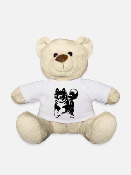 American Akita - Teddy - Weiß