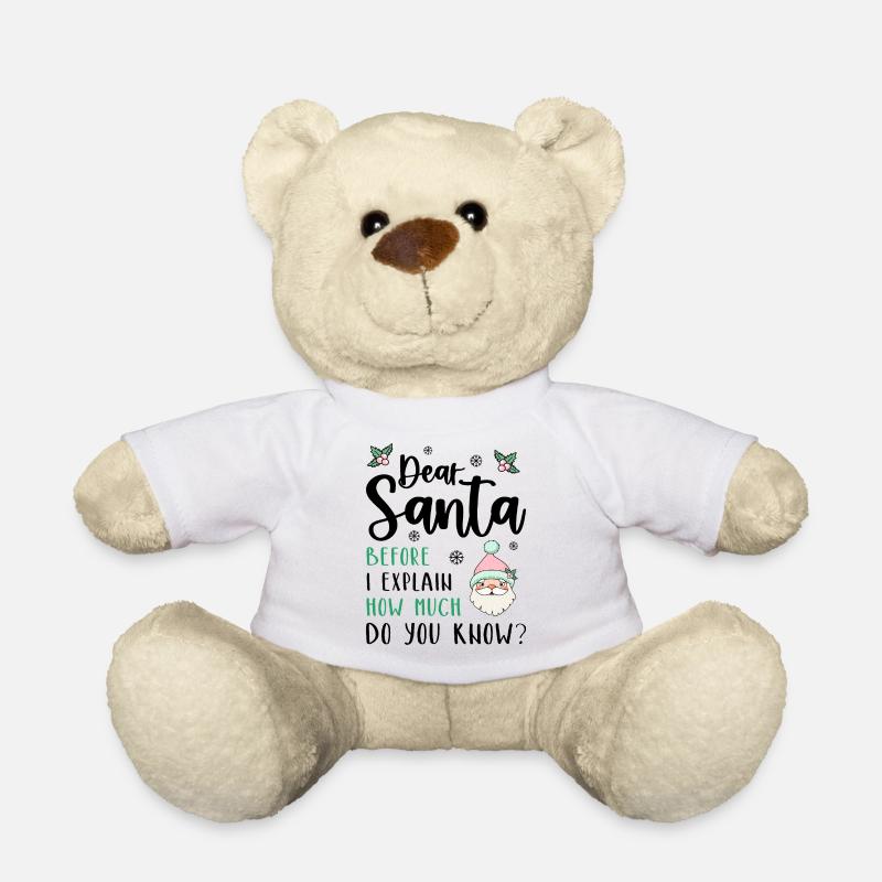 Cher Père Noël, avant que je vous explique, Que savez-vous ? - Nounours - blanc