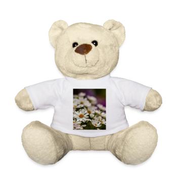 Gänseblümchen Blumen - Teddy - Weiß - Vorne