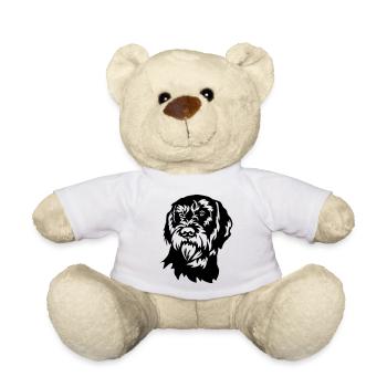 Tête de Cesky Fousek - Nounours - blanc - Devant