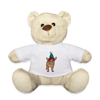 Français Bulldog - Nounours - blanc - Devant