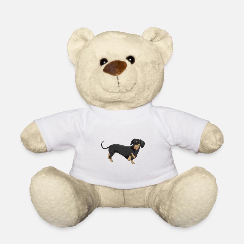 Dachshund - Teddy Bear - white