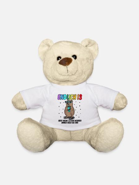 13 Geburtstag Fun Geschenk lustig 13. Ehrentag - Teddy - Weiß