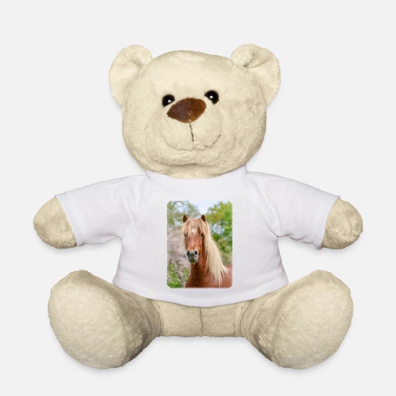 Aegidienberger Pferd Isländer-Paso-Mix Porträt - Teddy - Weiß