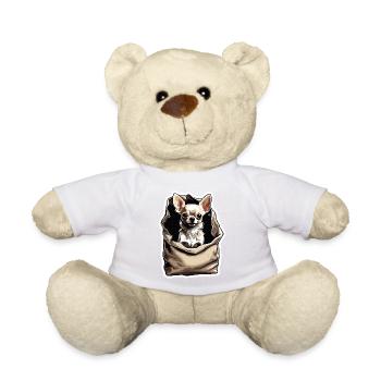 Chihuahua / small dog / animal / tiny / breed - Teddy Bear - white - Front