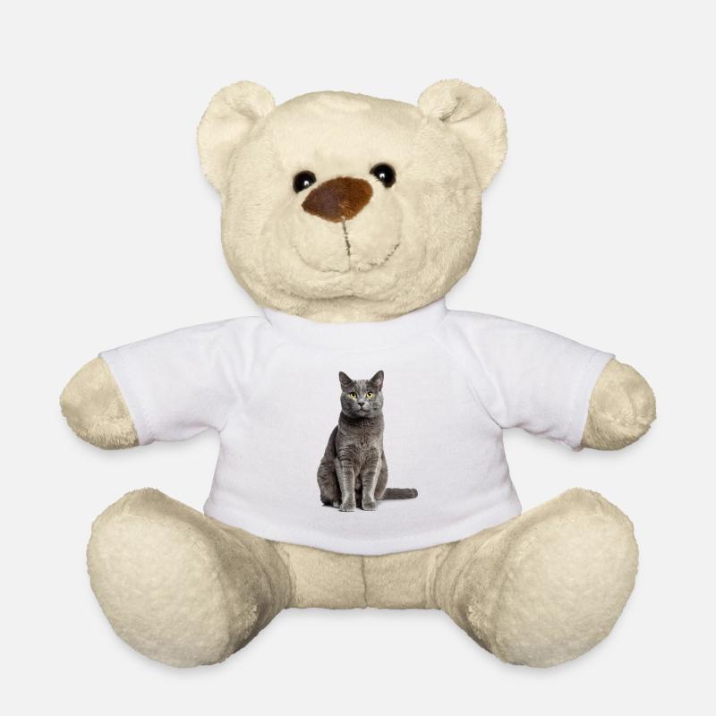 Graue Katze – Sanft, stilvoll & zum Verlieben! - Teddy - Weiß