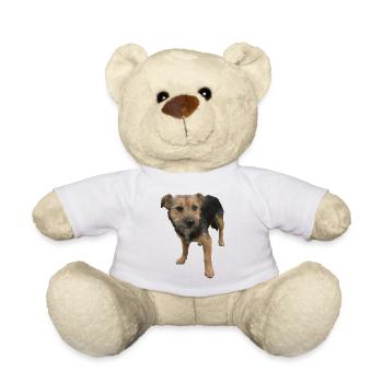 Hund - Teddy - Weiß - Vorne
