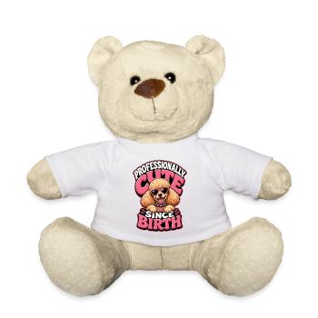 Pudel - Teddy - Weiß - Vorne