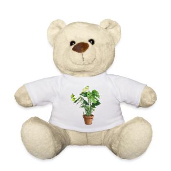 Monstera im Topf – Dschungelblätter - Teddy - Weiß - Vorne