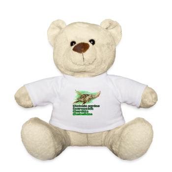 GREEN SEA TURTLE - Teddy Bear - white - Front