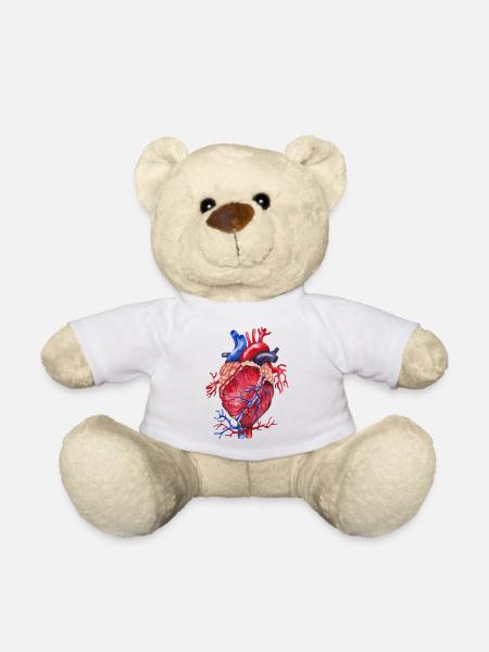 Herz Anatomie - Teddy - Weiß