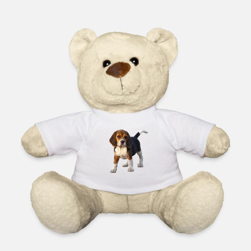 Beagle - Teddy - Weiß