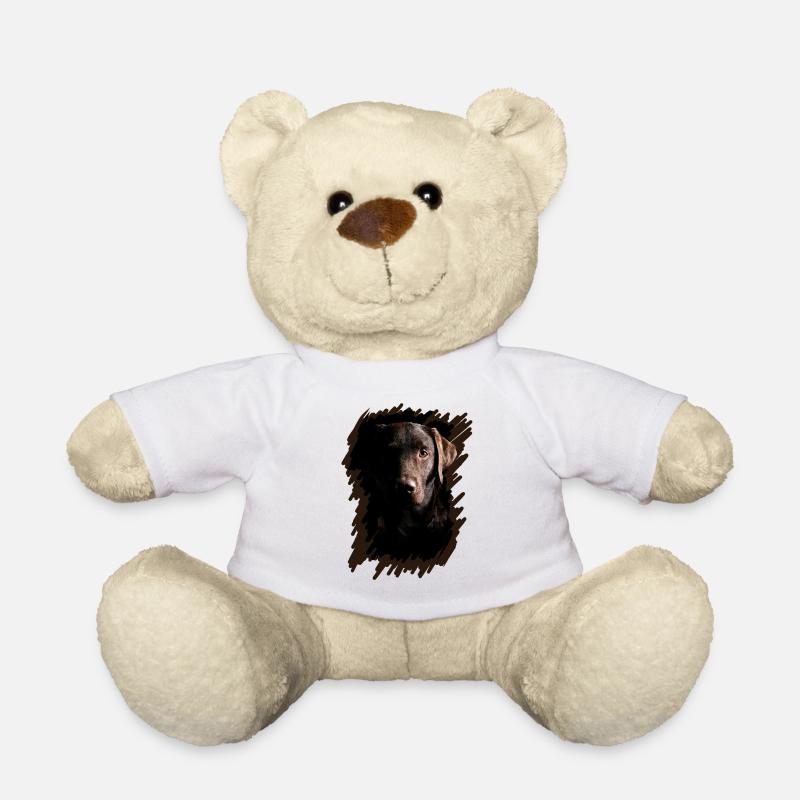 Labrador - Nounours - blanc