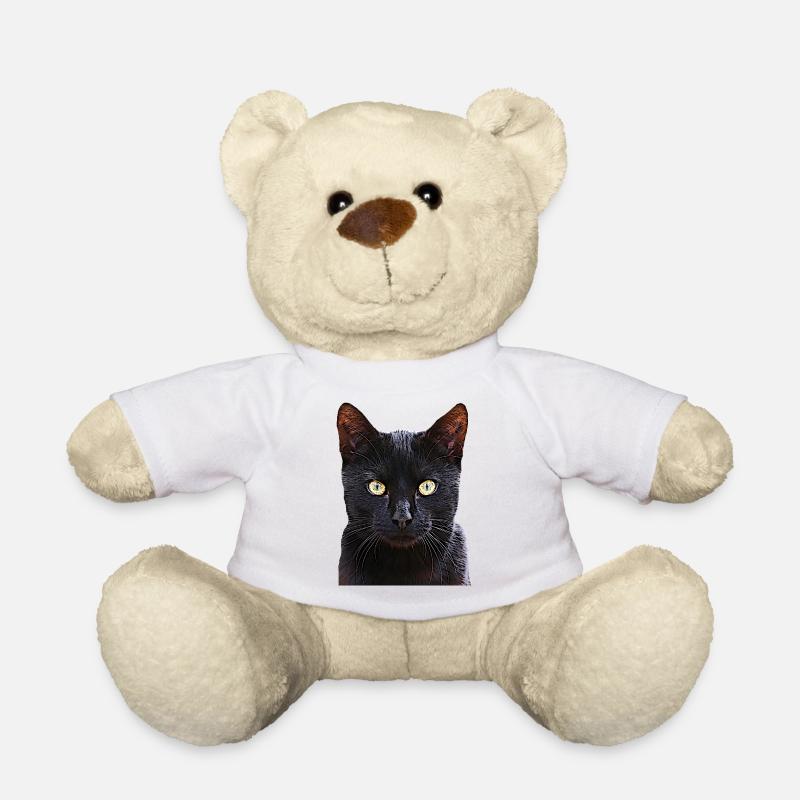 Chat chat cat cats - Nounours - blanc